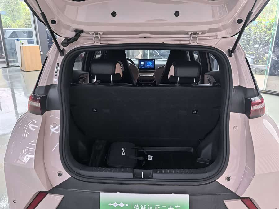 BYD Seagull 2024, фото 11