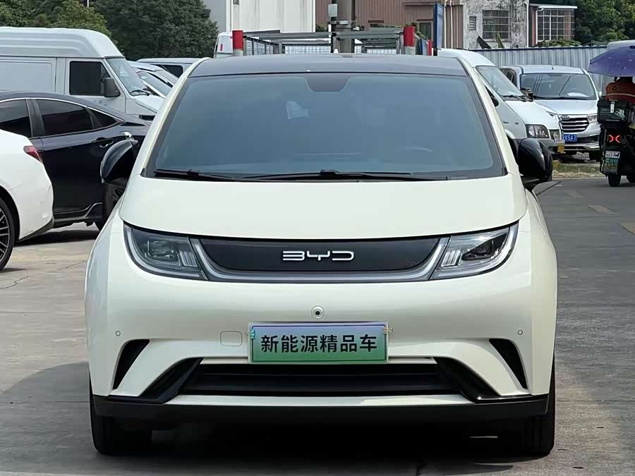 BYD Dolphin 2023, фото 2