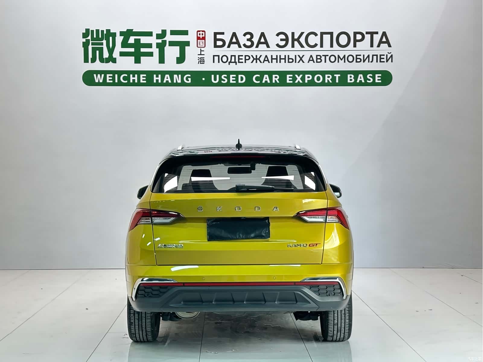 Skoda Kamiq, 2022 все фото