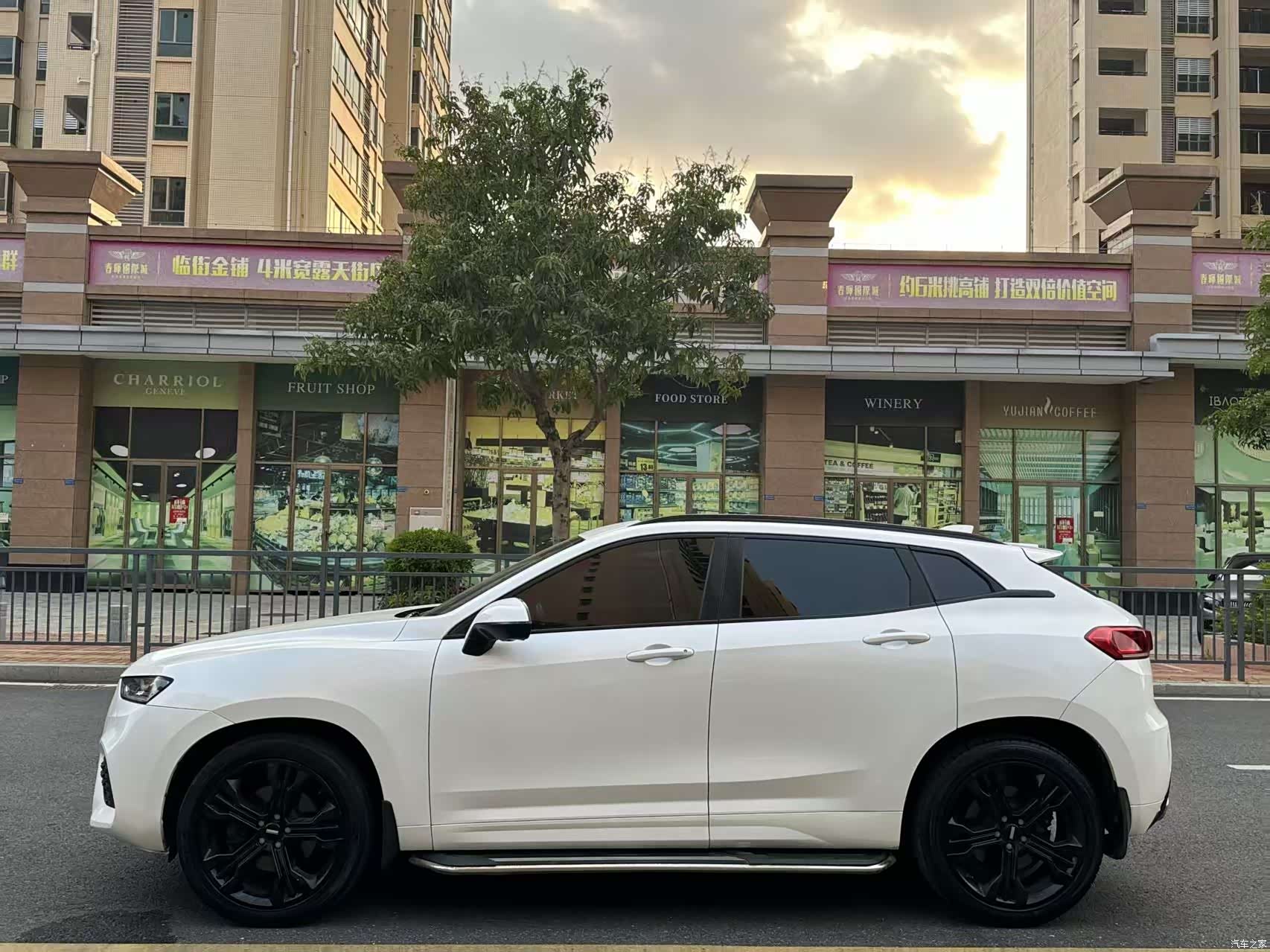 WEY VV7, 2019 4