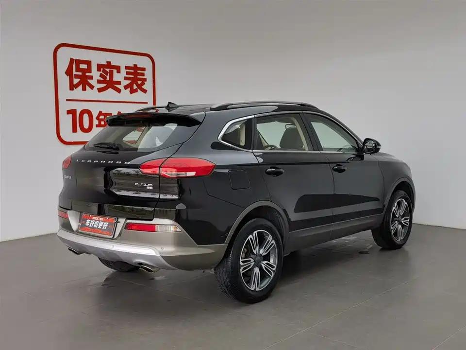 Leopaard Cheetah CS10