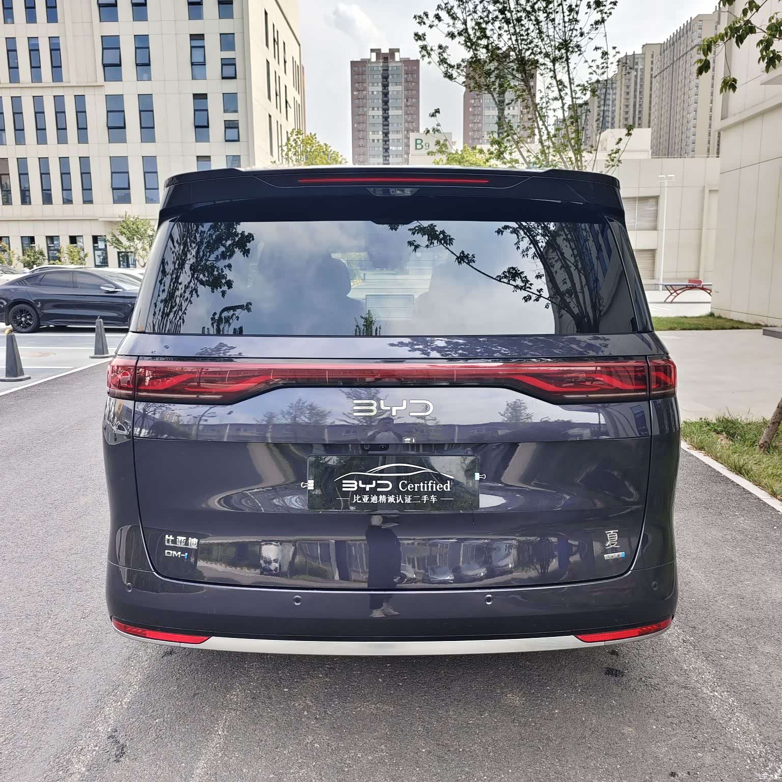 BYD Xia, 2025 10