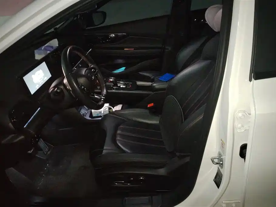 Trumpchi Shadow Leopard