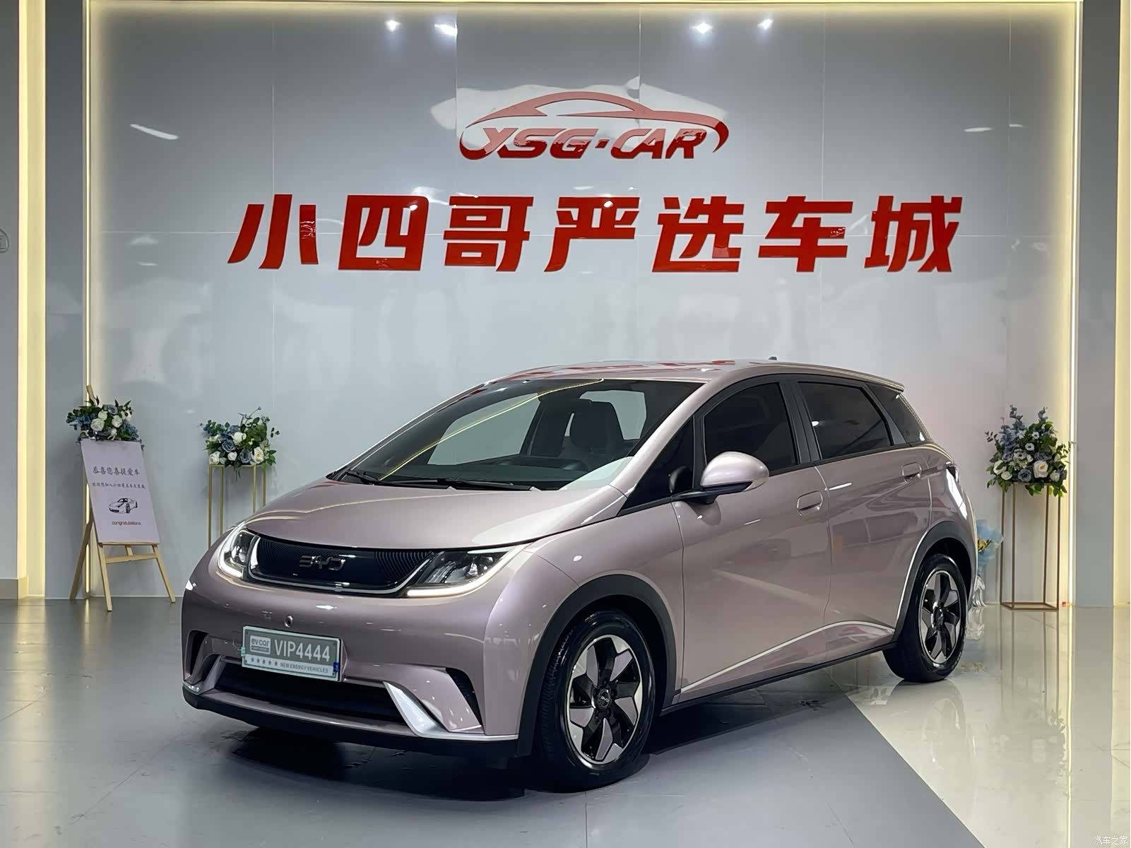 BYD Dolphin, 2024 1