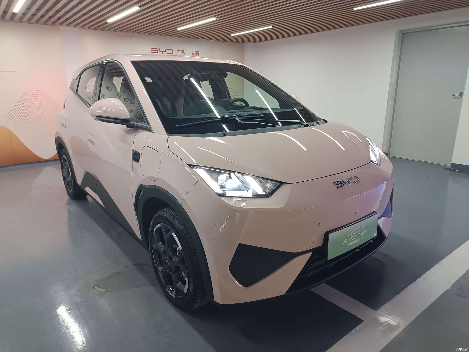 BYD Seagull, 2025 3