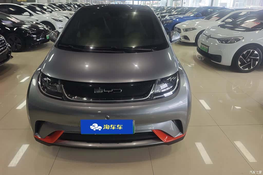 BYD Dolphin, 2022 2