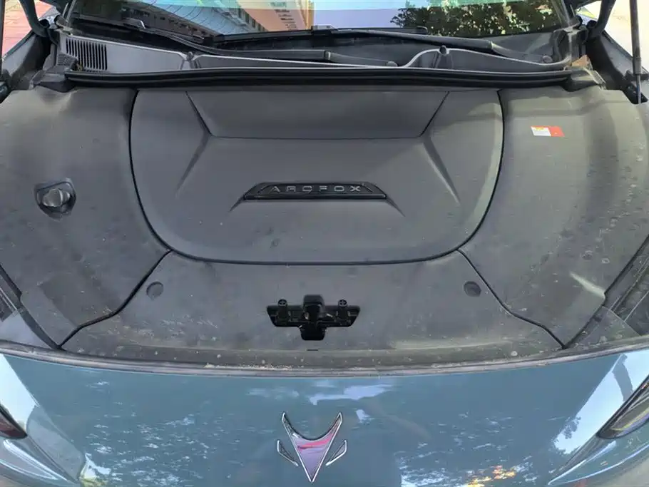 ARCFOX Polar Fox Alpha S