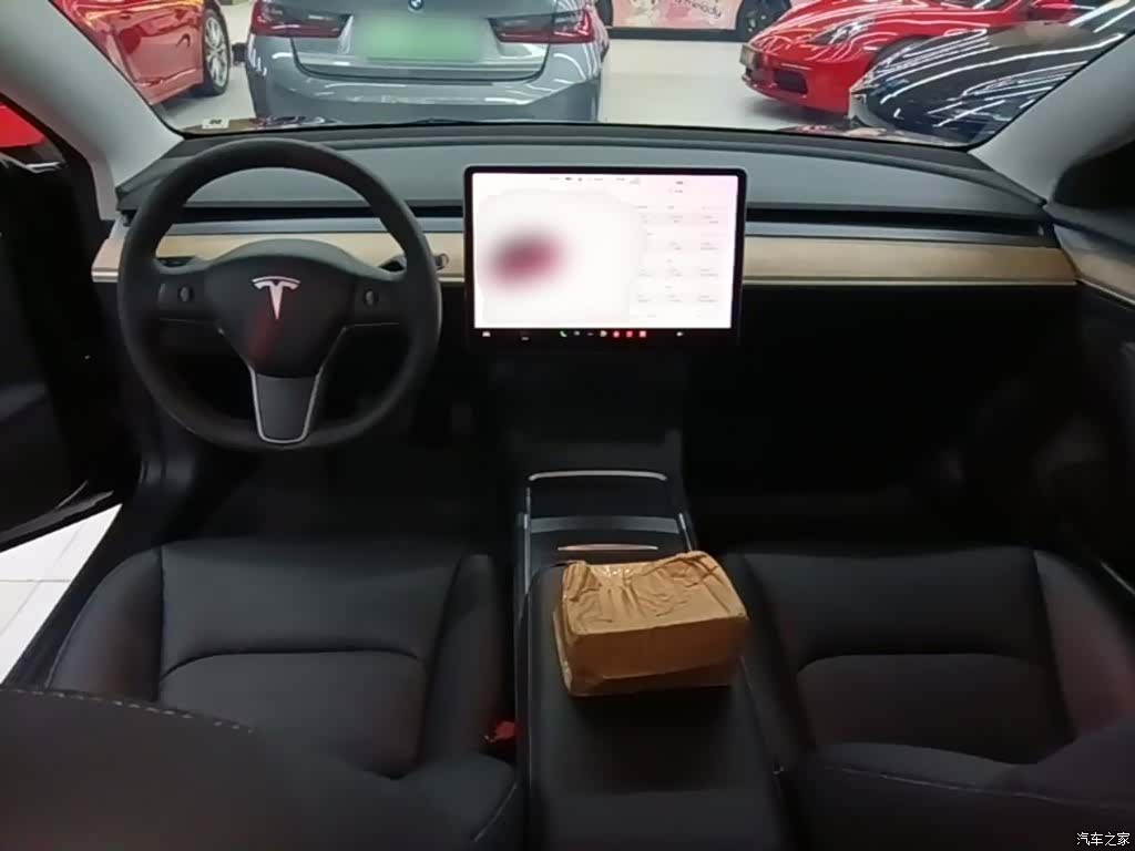 Tesla Model 3, 2021 10