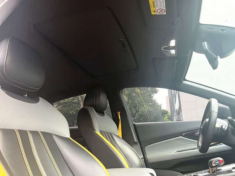 Trumpchi Shadow Leopard