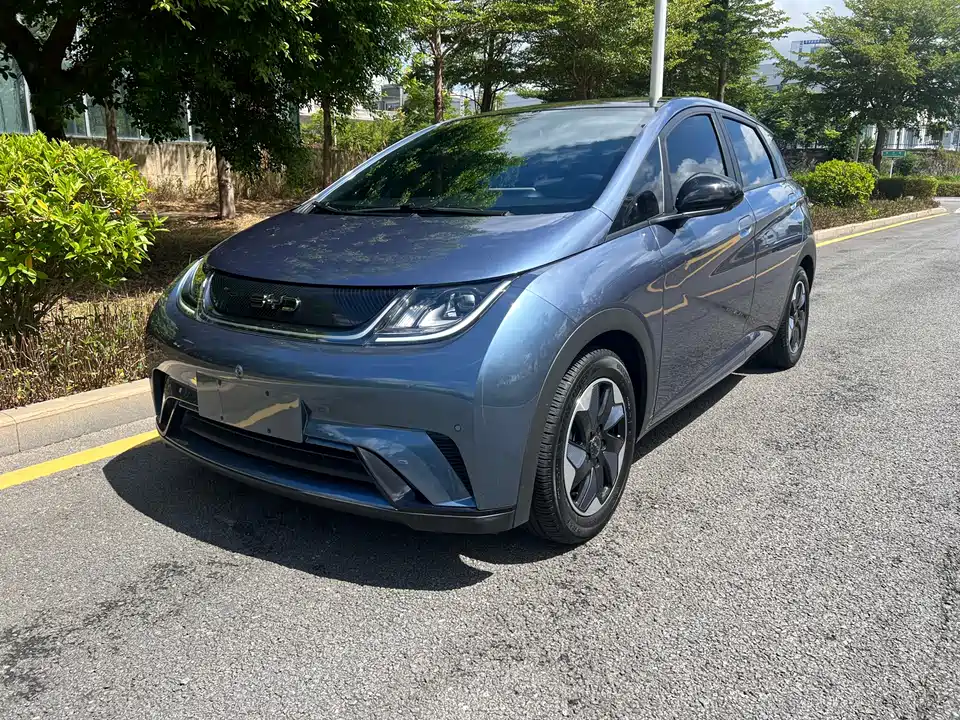 BYD dolphin