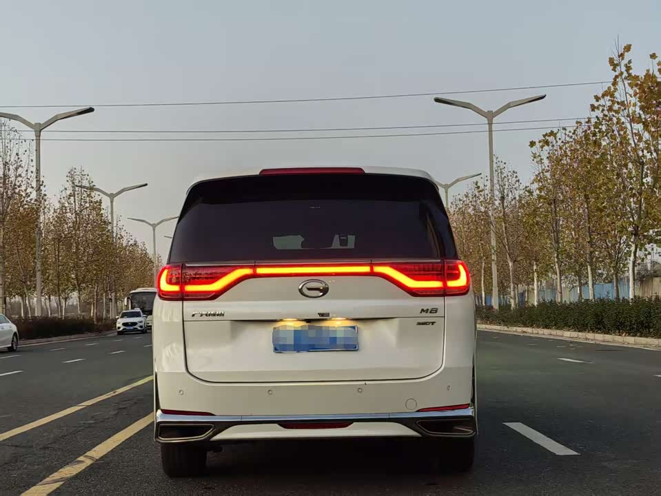 Trumpchi Trumpchi M8