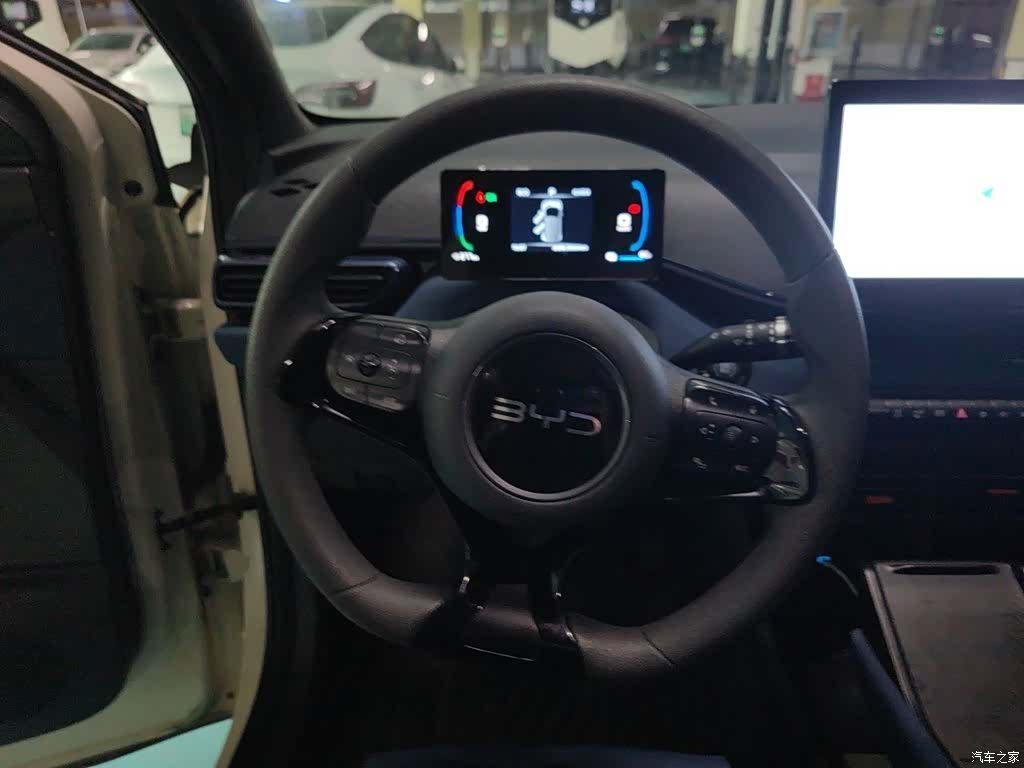 BYD Seagull, 2024 7