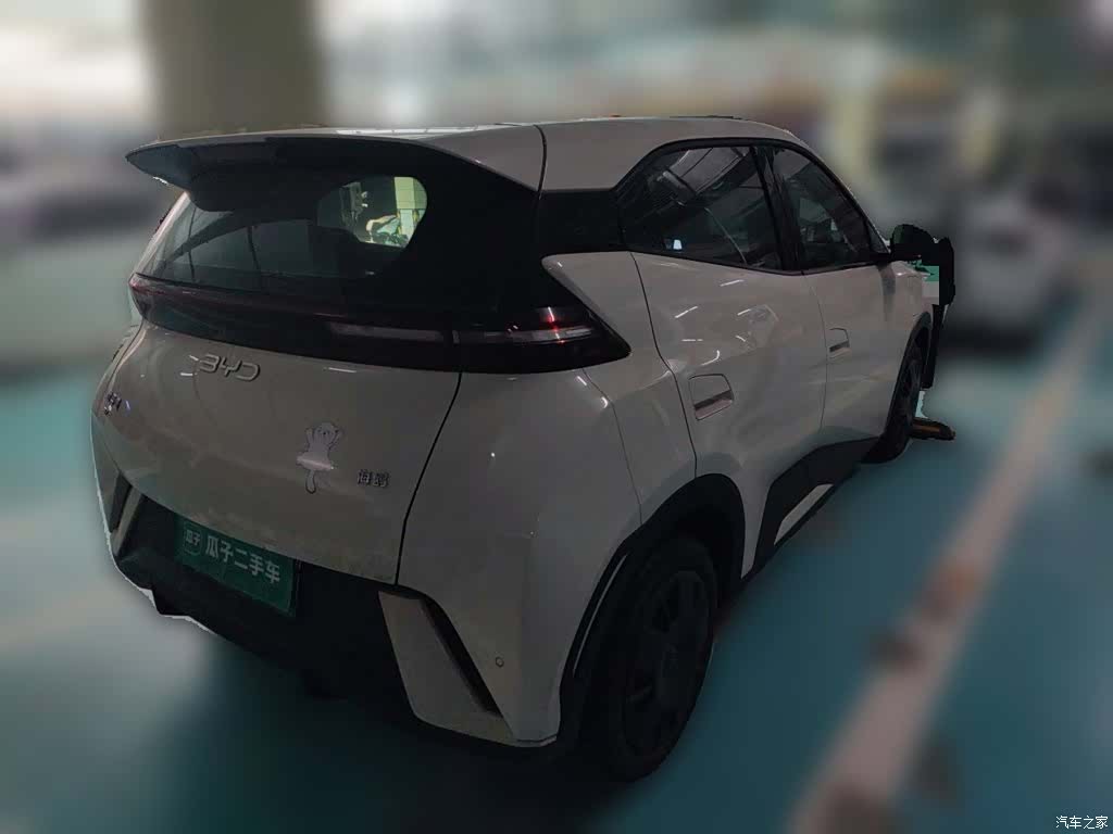 BYD Seagull, 2024 все фото