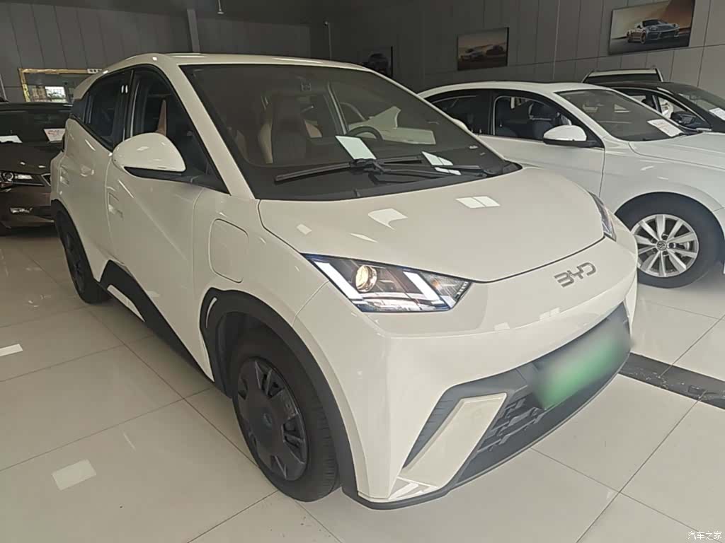 BYD Seagull, 2025 22