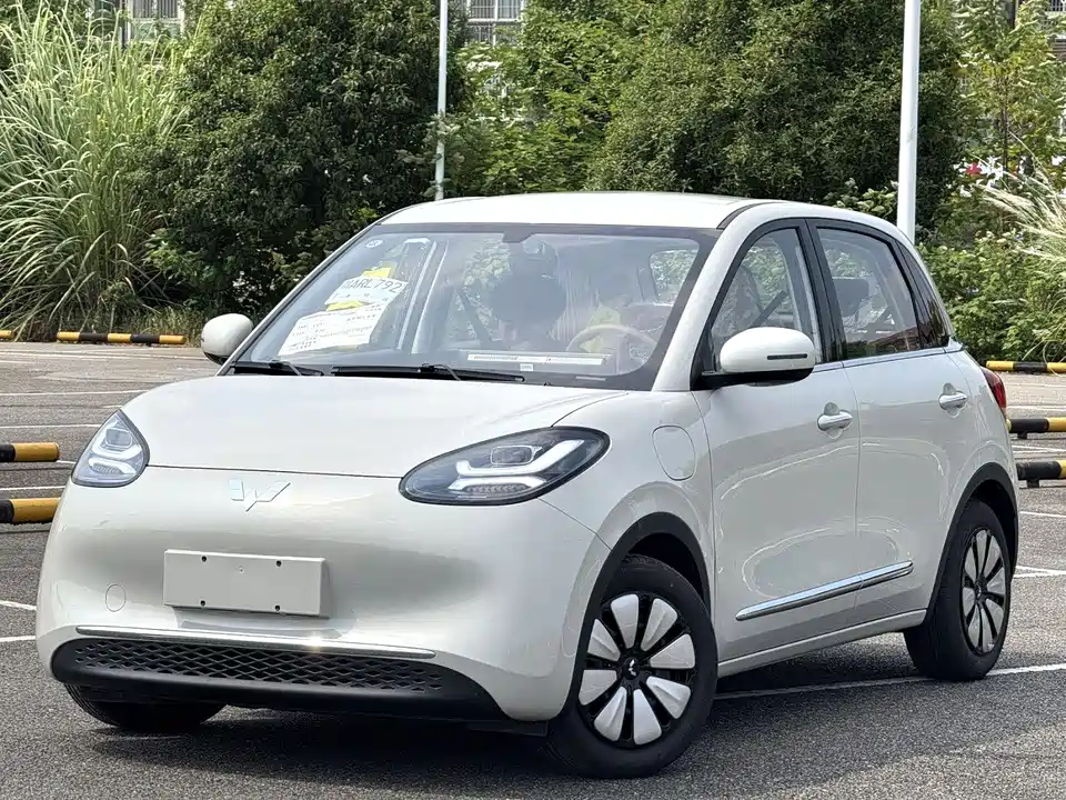 Wuling Wuling Bingguo