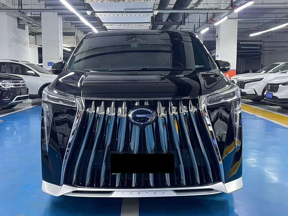 Trumpchi Trumpchi E9