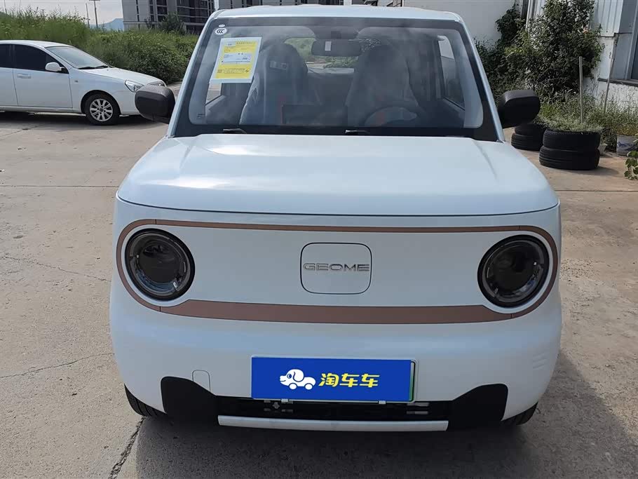 Geely Galaxy panda
