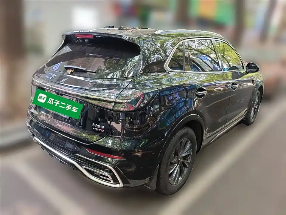 Hongqi HS5