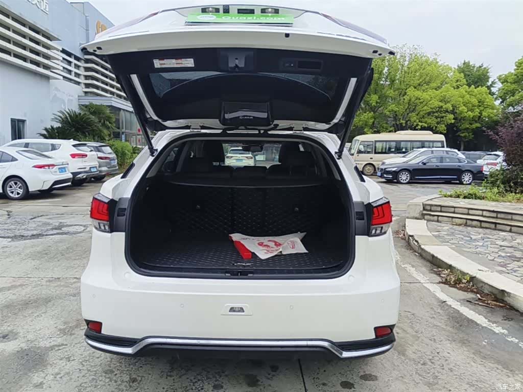 Lexus RX, 2021 19