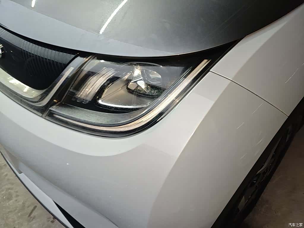 BYD Dolphin, 2022 24
