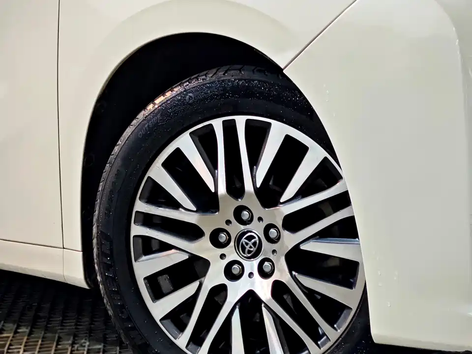 Toyota Elfa