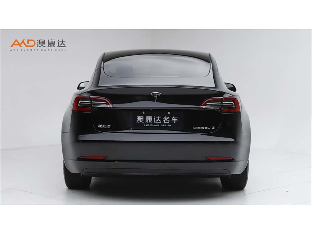Tesla Model 3, 2021 4