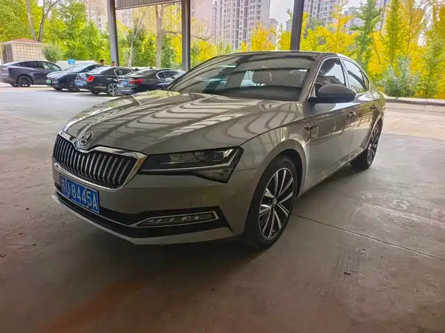 Škoda Speed pie 2023 — купить из Китая под заказ