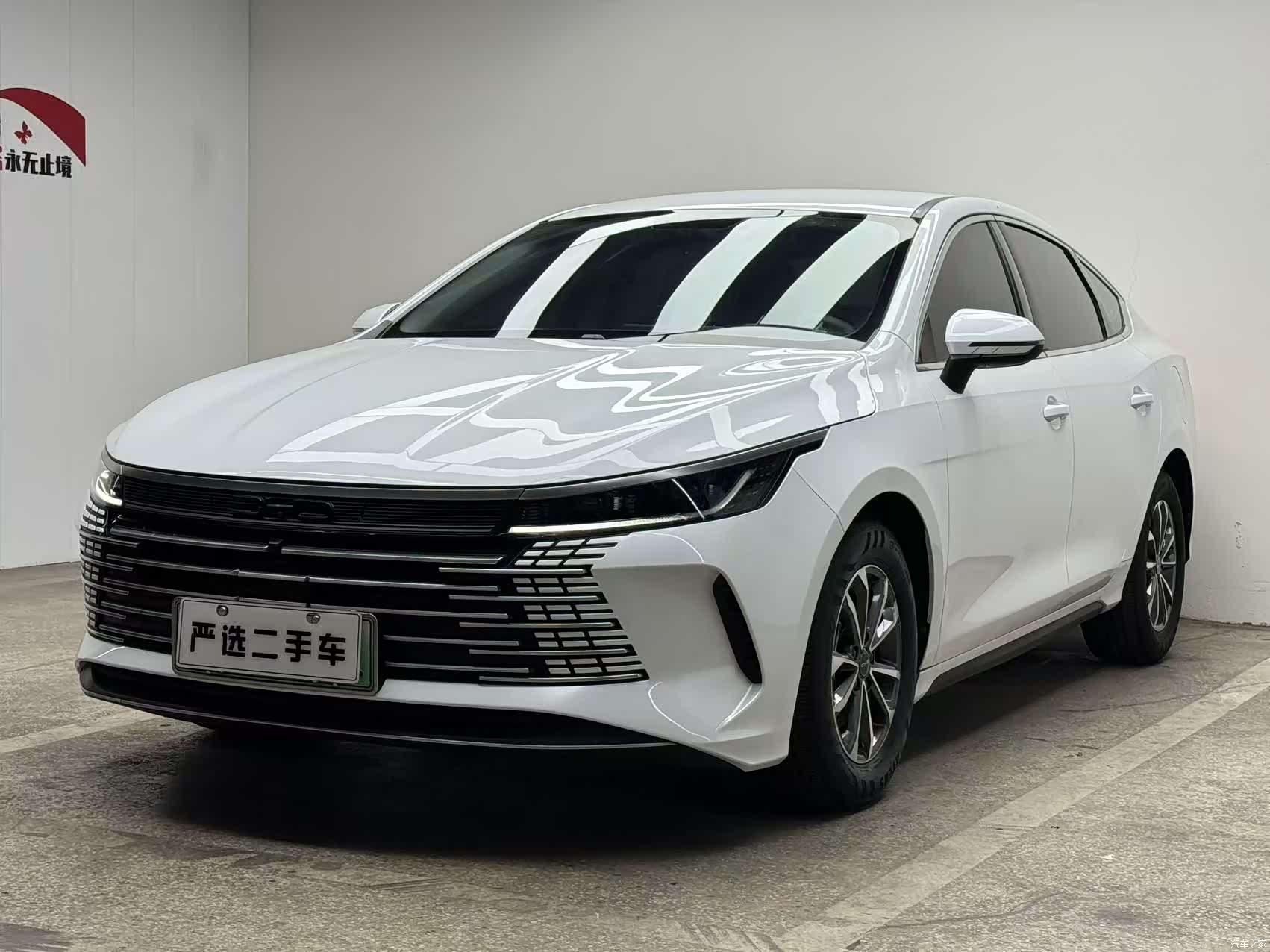 BYD Destroyer 05, 2024 1