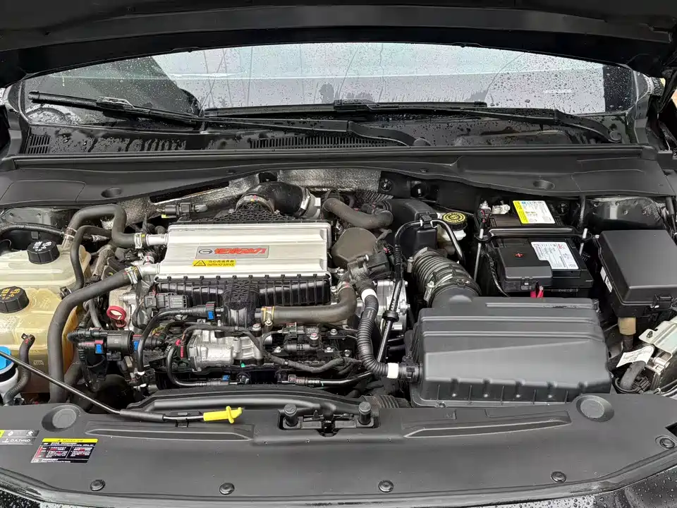 Trumpchi Shadow Leopard