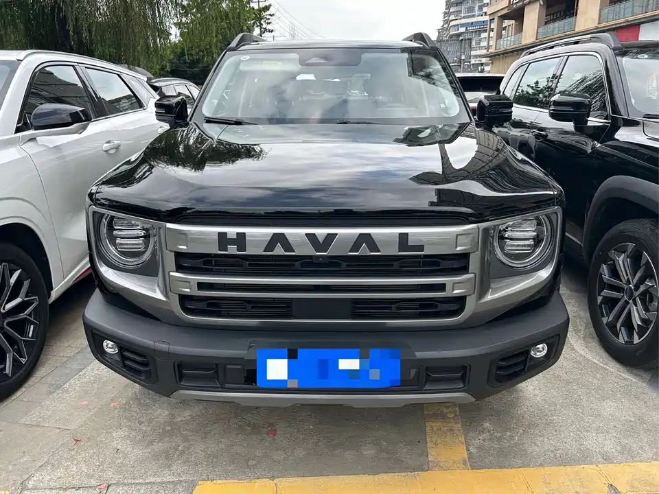 Haval Big dog