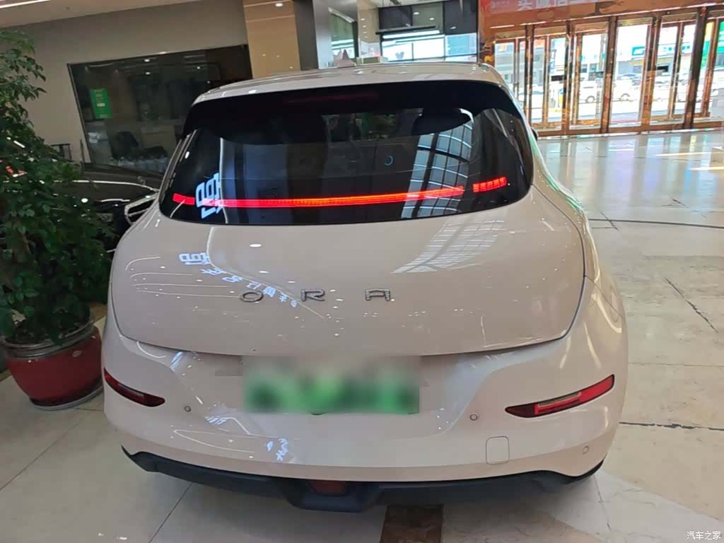 ORA Good Cat, 2022 6