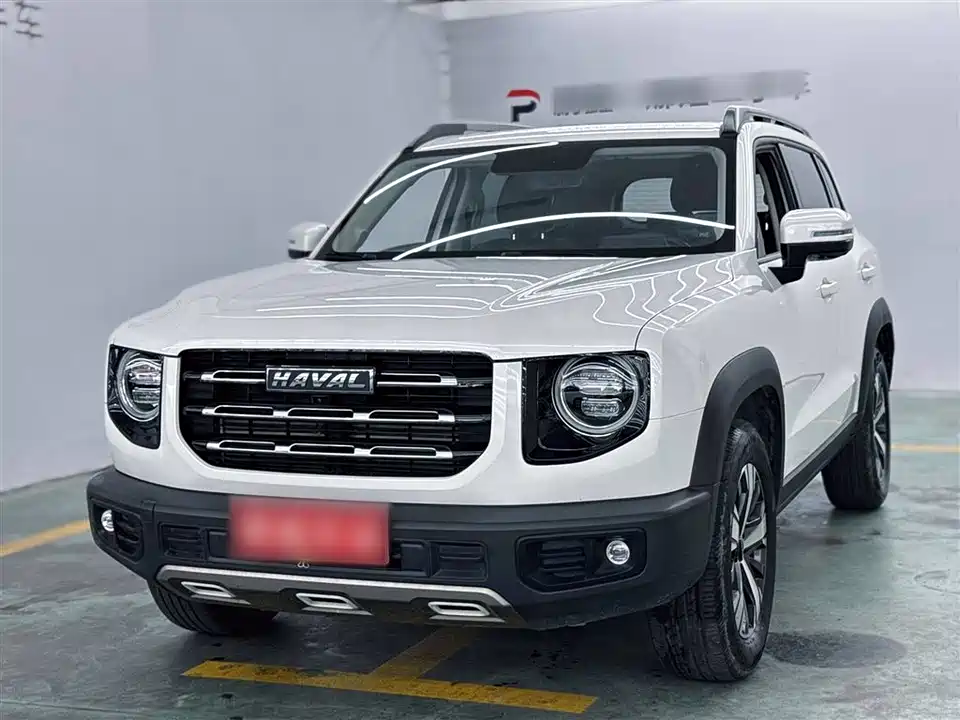 Haval Big dog