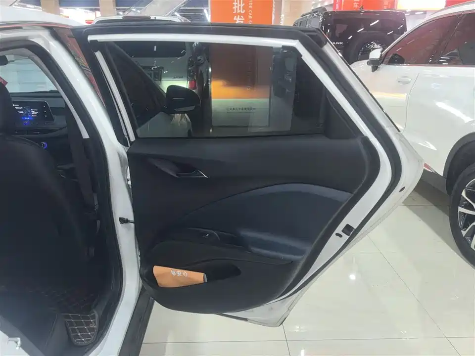 Buick Slightly blue 6