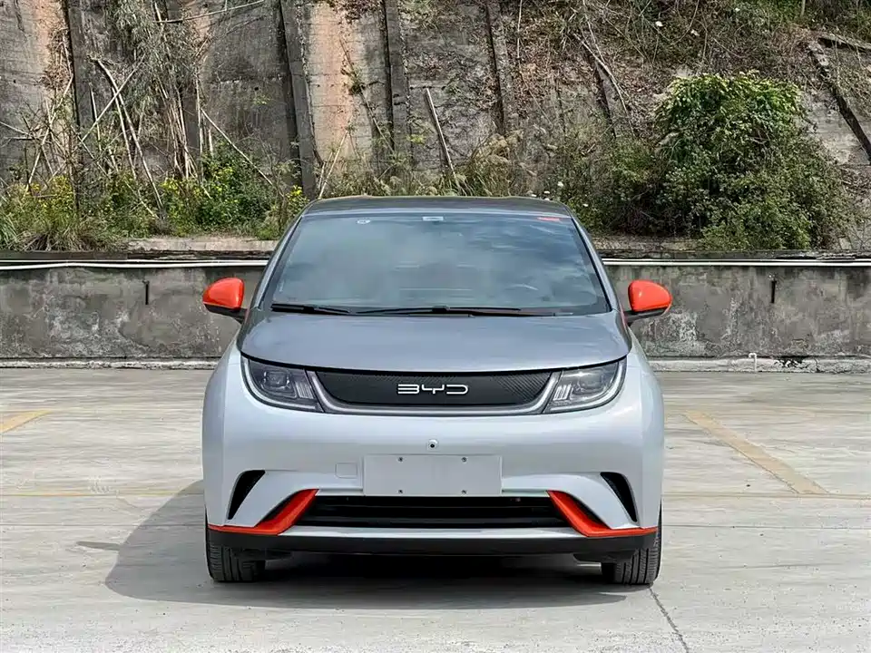 BYD dolphin