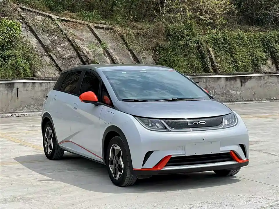 BYD dolphin
