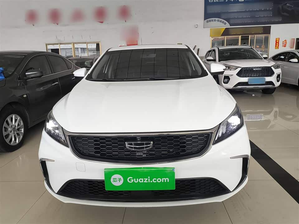 Geely Binrui