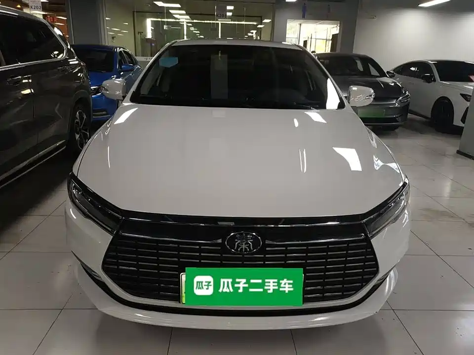 BYD Qinxin Energy