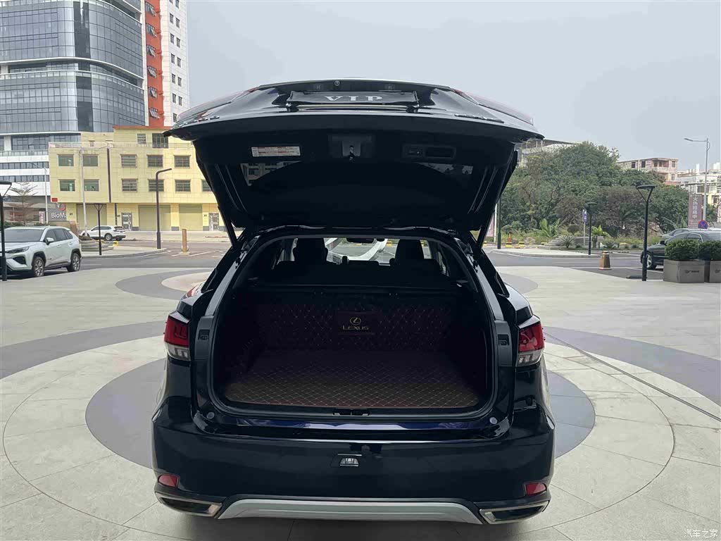 Lexus RX, 2021 13
