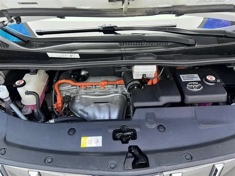 Toyota Elfa