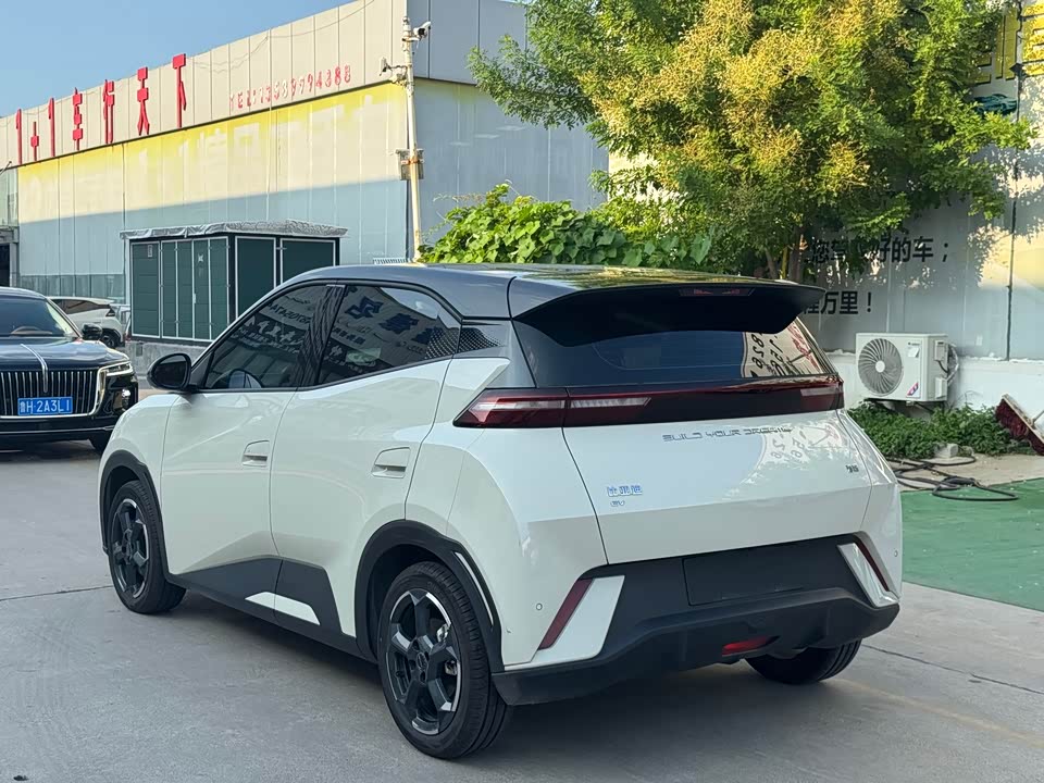 BYD Seagull