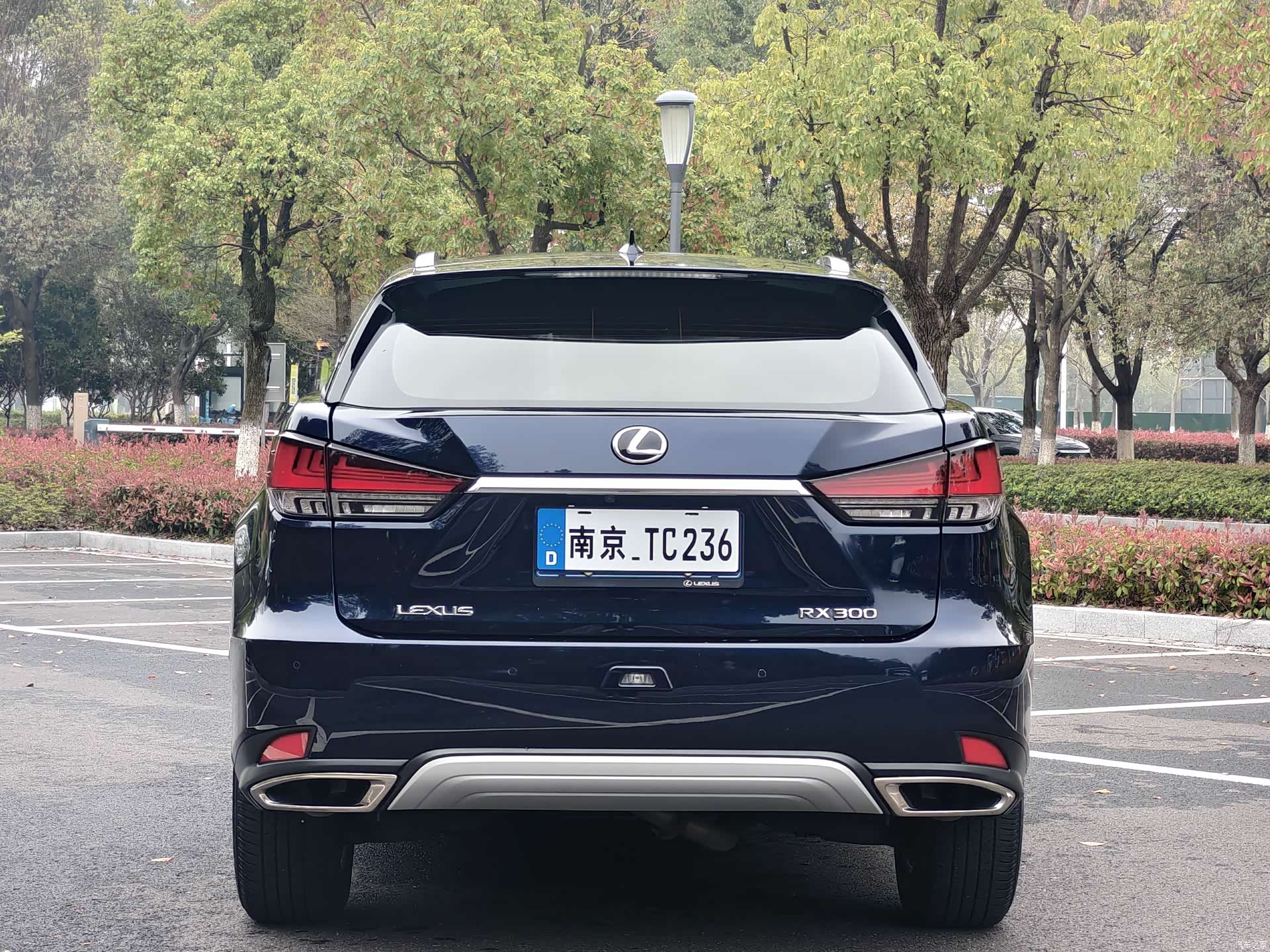 Lexus RX, 2022 4