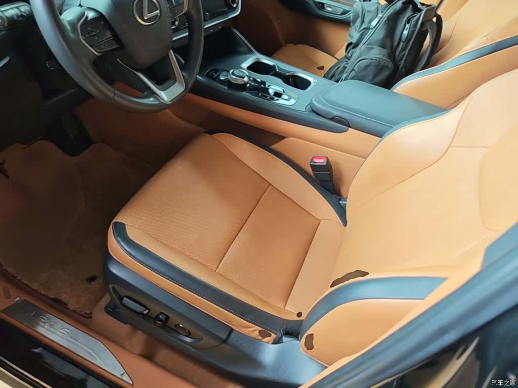 Lexus RZ, 2023 15