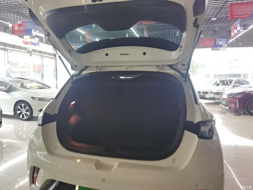 BYD Dolphin, 2023 19