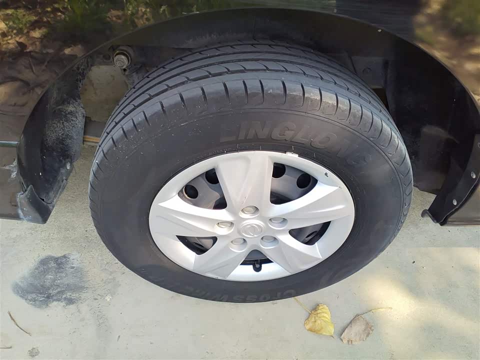 Forthing Lingzhi PLUS Forthing Lingzhi PLUS
