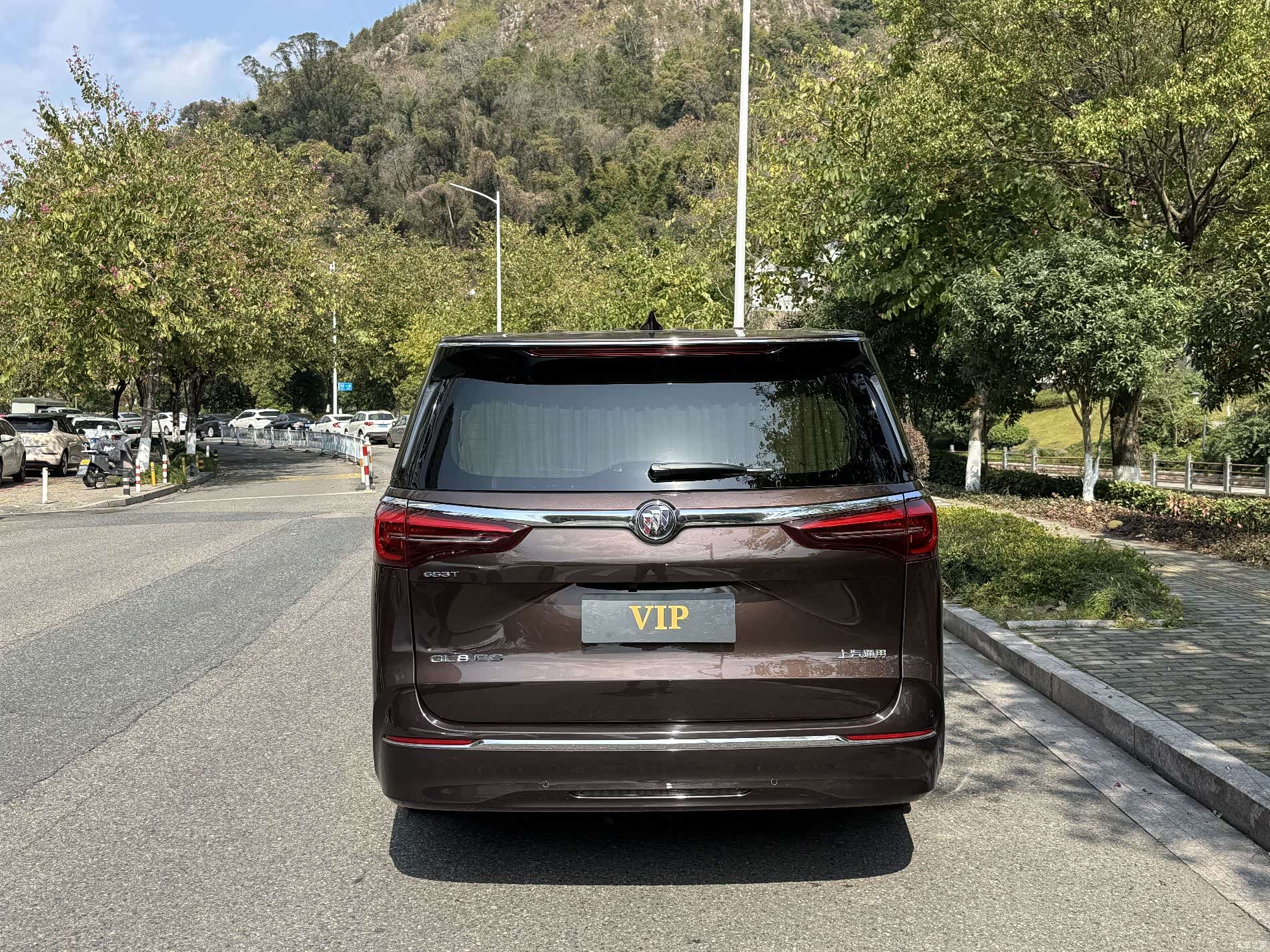 Buick GL8, 2021 9