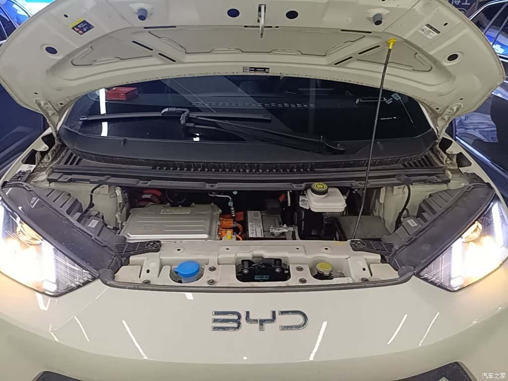 BYD Seagull, 2024 20