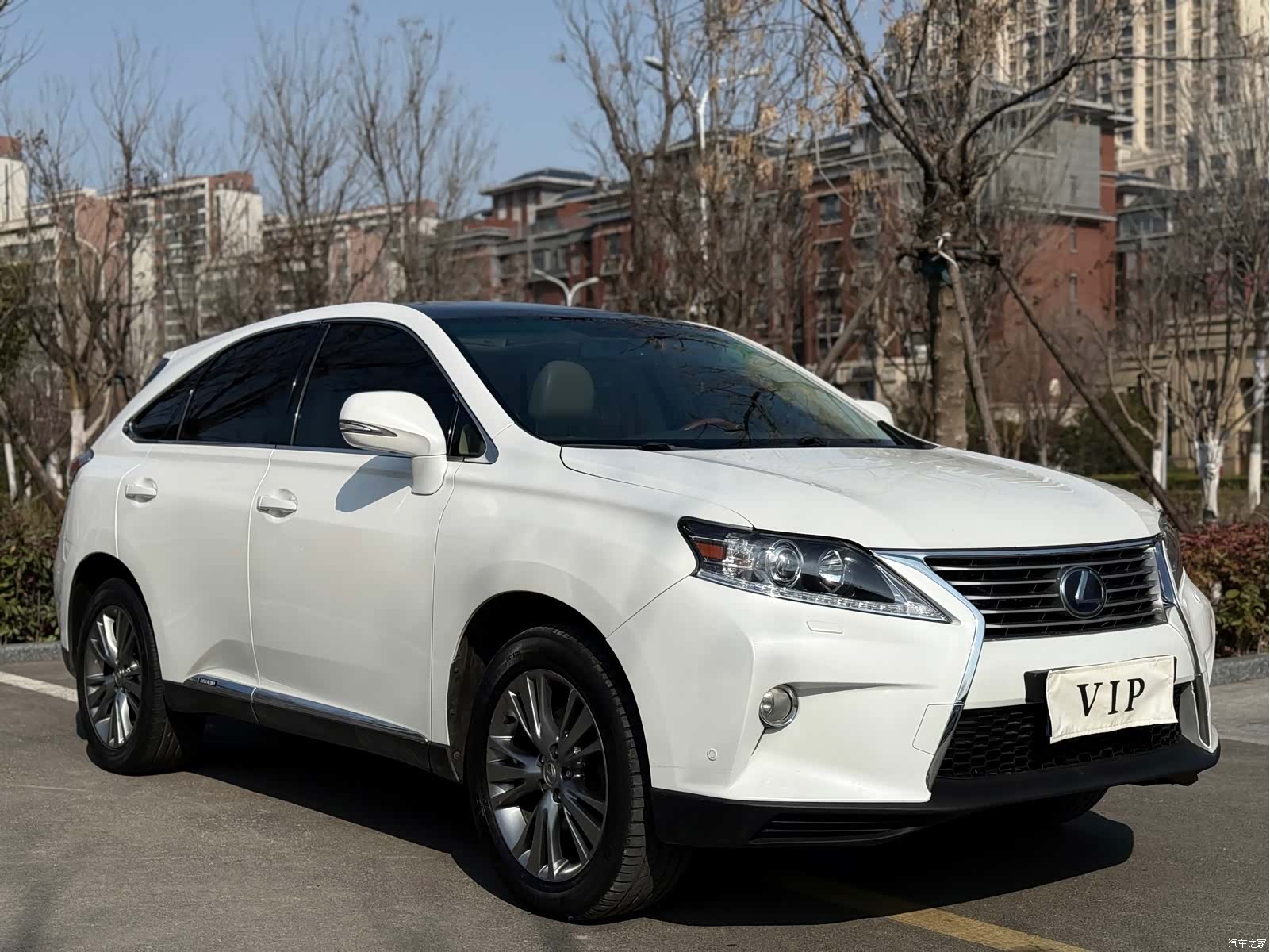 Lexus RX, 2010 3