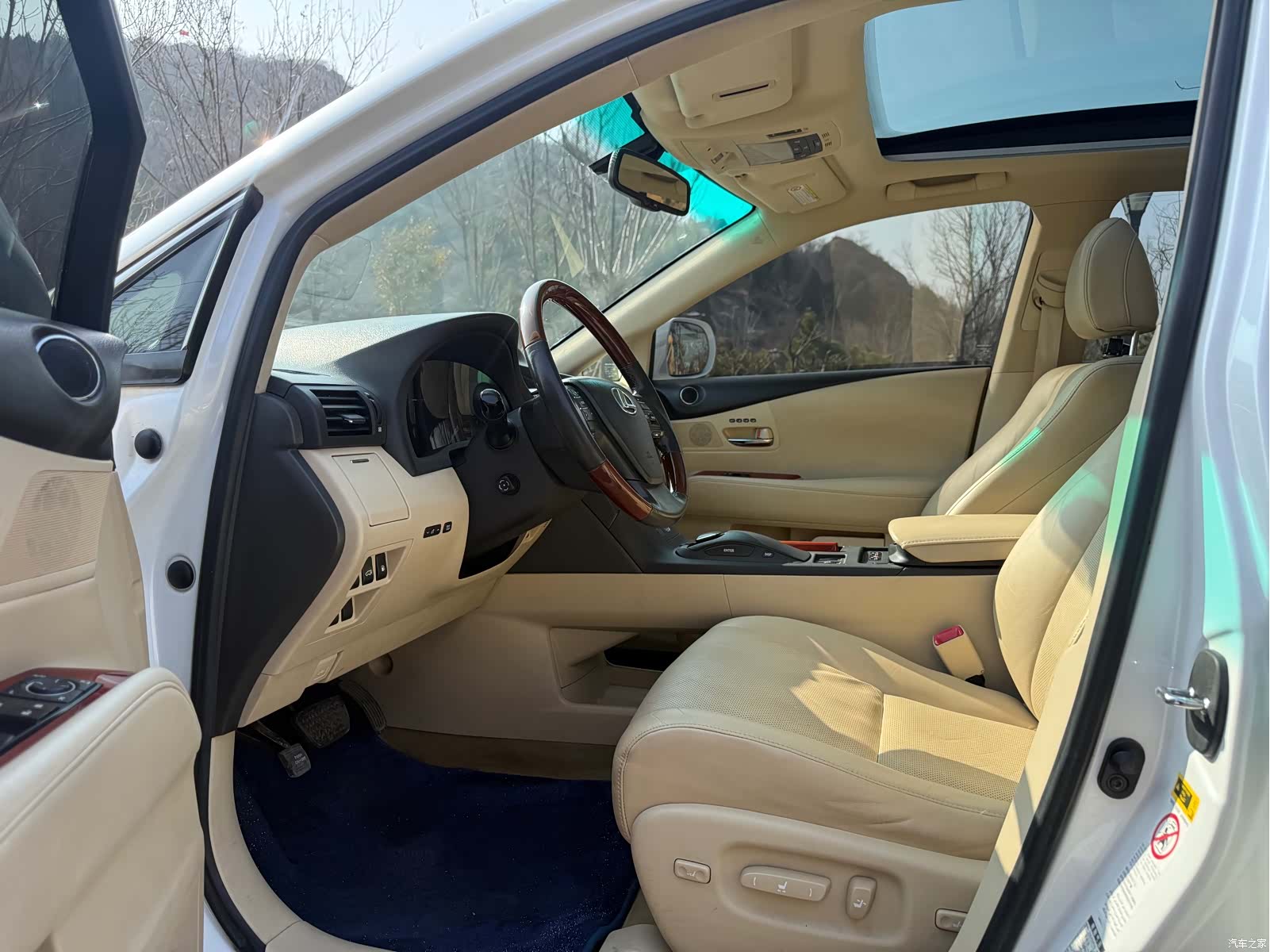 Lexus RX, 2010 все фото