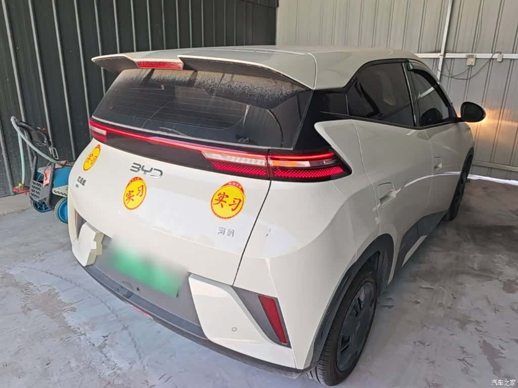 BYD Seagull, 2025 7