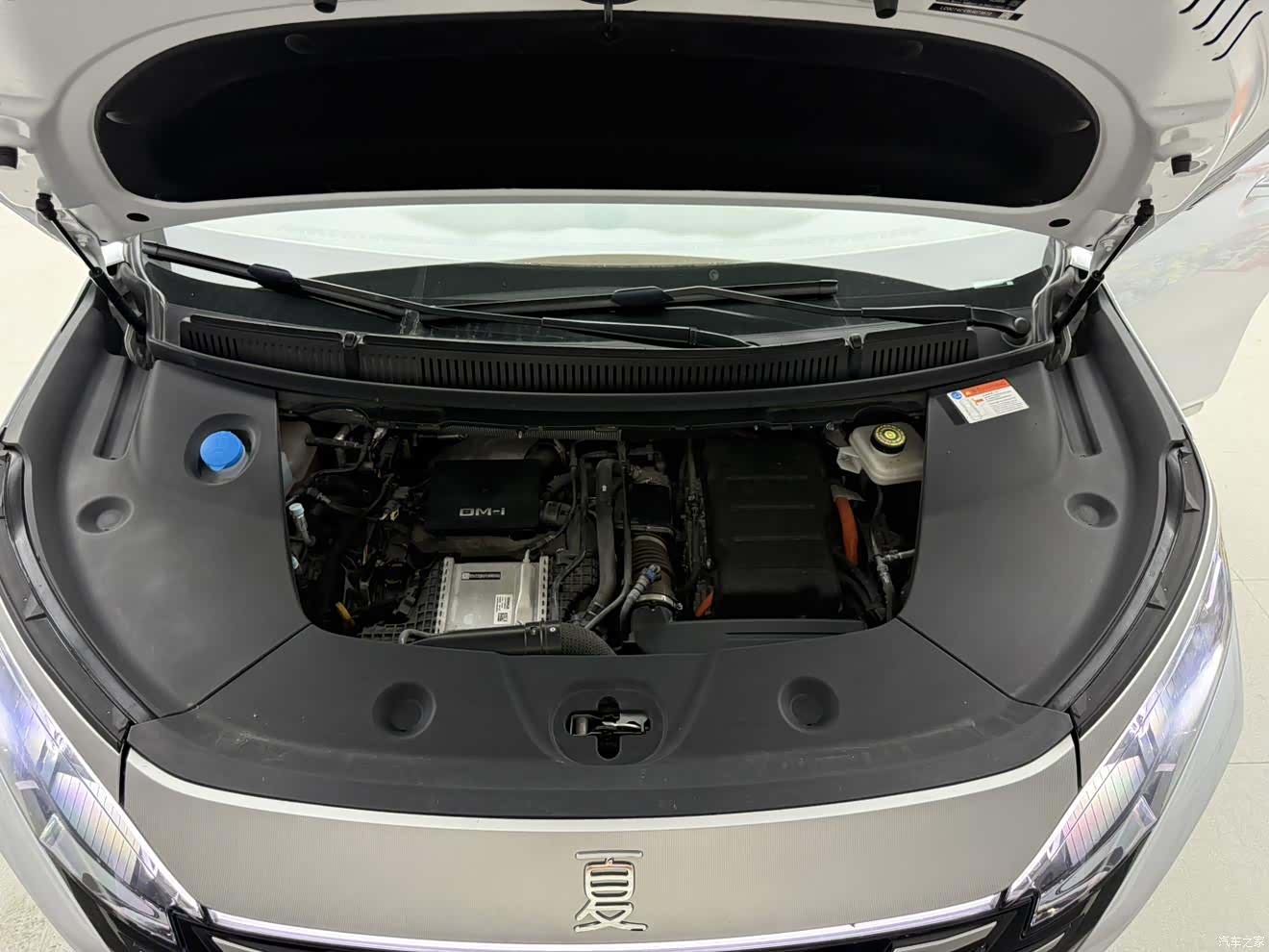 BYD Xia, 2025 11